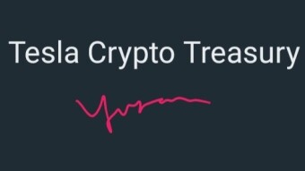 Tesla's Cryptocurrrncy Assets of 2021-22