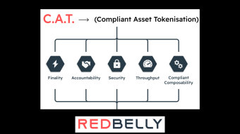 Redbelly - RWA Tokenisation & Earn RBNT tokens