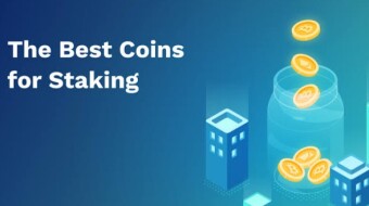 Top 6 staking coin for this summer