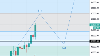 Is Bitcoin Finally Expensive Enough Institutional Investors? (2/22/21 Forecast)