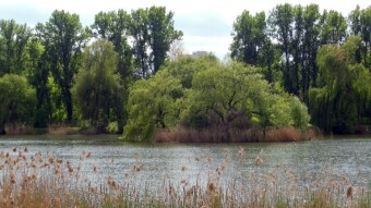Nice and modest - My Actifit Report Card: April 22 2024