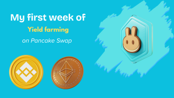 My First Week of Yield Farming on PancakeSwap: Real Numbers & Experience