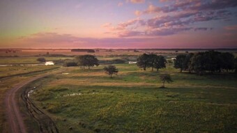 Meanders of the Biebrza River in Poland - a bird's eye view