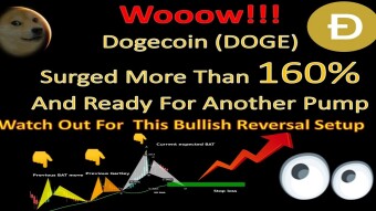 Wooow!!! Dogecoin (DOGE) Surged More Than 160%And Ready For Another Pump