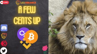 A few cents up - leofinance