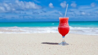 Digital Detox: The Power of a Tech-Free Day