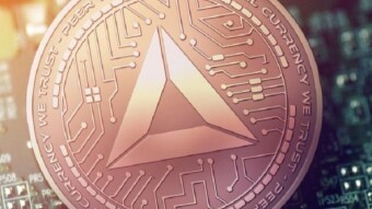 The Brave Ecosystem