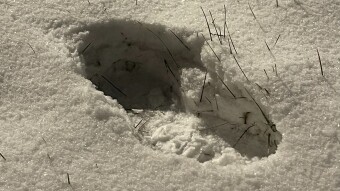Northeast US Hammered by Winter Storm: Worse than Meterologists Anticipated