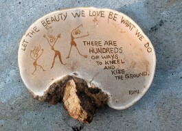 (IJCH) Ganoderma Applanatum (A Mushroom for Health and Art)