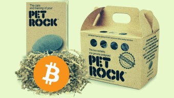 JPMorgan CEO Jamie Dimon calls Bitcoin a "Pet Rock"