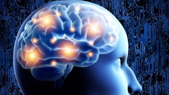 5 Everyday Experiences that Improve Your Brain