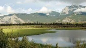 "The Sanctuary of the Wild"