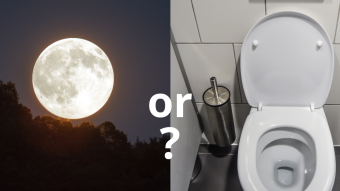 Moonshot or shitcoin?