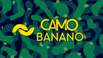 BANANO Privacy Layer: CAMO BANANO Light Wallet Released!