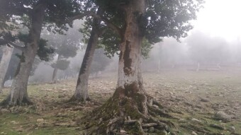 One of The Most Dreamy Routes & Fog | Asalem-Khalkhal |
