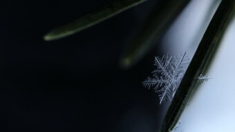 Into The Freeze Suspension