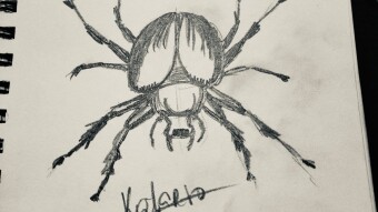 A scary bug on the eve of Halloween.