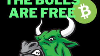 Leverage or Hedge? Understanding the Concepts and Advantages of BCHBULL