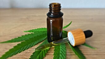 How to Make Money with Bitcoin & Hemp CBD oil