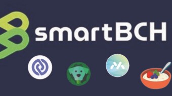 DeFi in SmartBCH