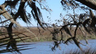 Savage Island