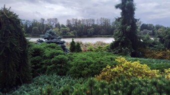 Thursday was quite pleasant and busy again - My Actifit Report Card: September 11, 2025