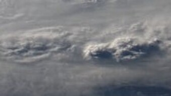 Hurricane Fiona : The Birth and Death of a Monster