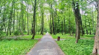 Cold and Rainy Sunday - My Actifit Report Card: May 17, 2026
