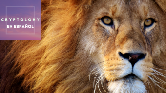 10 razones para #SwitchToBrave