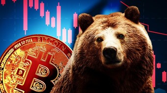 The best way to Earn cryptocurrencies during the bear market for free, Shib, Matic, Sol, BTC and more. Watch To earn!
