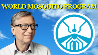 Bill Gates And His Surprising Project To Fight Mosquito-borne Diseases With Artificial Intelligence.