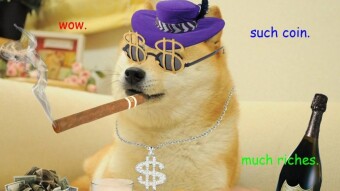 DOGE, Making Sense Now