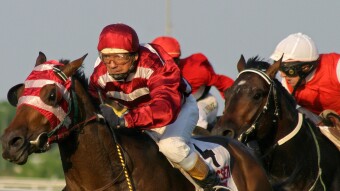 Follow The Tipster - #5