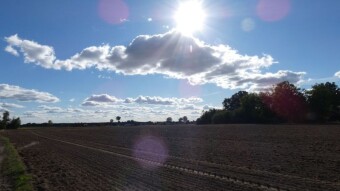 The weather is truly autumnal, but walking in the rain also has its advantages - My Actifit Report Card: October 4, 2024