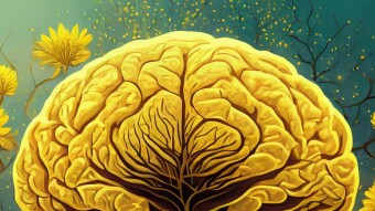 PROBLEM SOLVING EFFICIENCY OF Ni IN THE AGE OF Ai