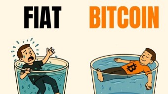 Bitcoin Bearish, Gold Bullish – How I'm Still Up $85 on BEEFY 😎