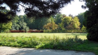 Another warm day on the bike, no spins and pressure - My Actifit Report Card: September 7 2023