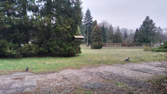A Cool and Gloomy Saturday