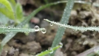 WATER DROPS Photography.