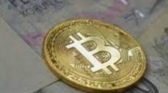My only crypto investment that is making money in the last month