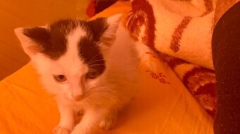 Any idea for name ???