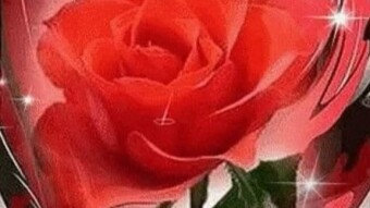 Love: The Most Powerful Emotion