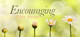 Bible Verses of  the Day April 3, 2019