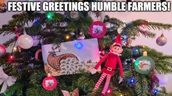 The Harvest.Finance Naughty Elf