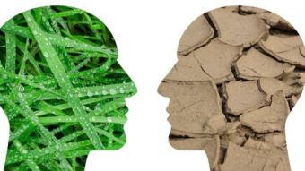 Is Nigeria really even damaging the Climate enough to be bothered?