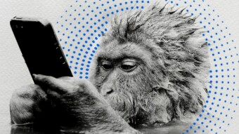 Cardano: Is It a Good Buy or Should It Be Goodbye?