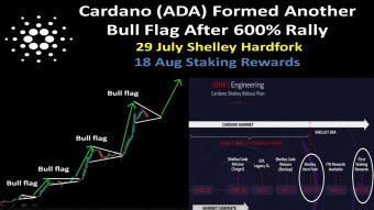 Cardano (ADA) Another Bull Flag After 600% Rally | 29 July Shelley Hardfork | 18 Aug Staking Rewards
