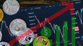 Crypto 2024: Top performers, trends and what to expect in the New Year!
