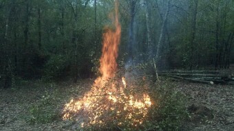 Apocalyptic Homesteading (Day 11)