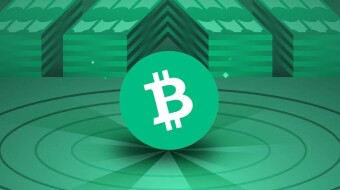 The potential impact of BCH on the global financial system.